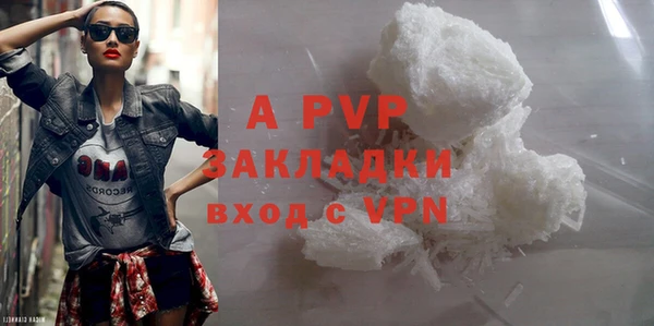 прущие грибы Карпинск
