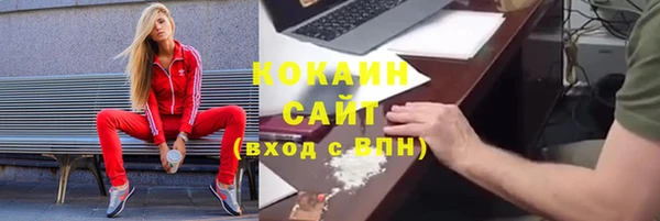прущие грибы Карпинск