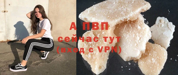 прущие грибы Карпинск